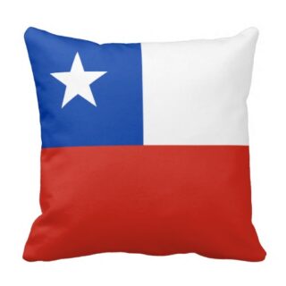 regalos chilenos,regalos chile
