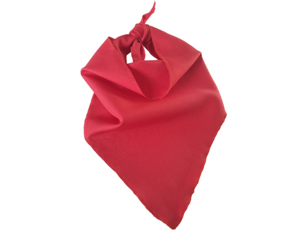 pañuelos de cuello por mayor
