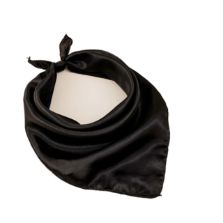 pañuelo de cuello