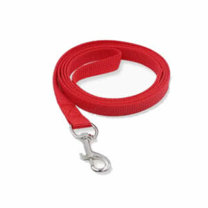 correa para perros