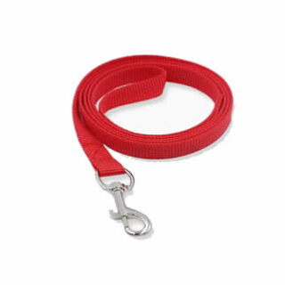 correa para perros