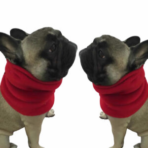 cuellos para perros