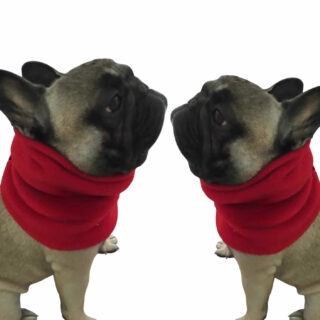 cuellos para perros