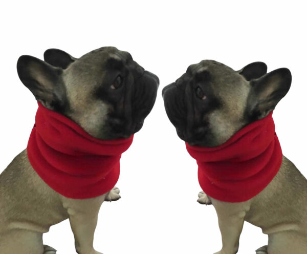 cuellos para perros