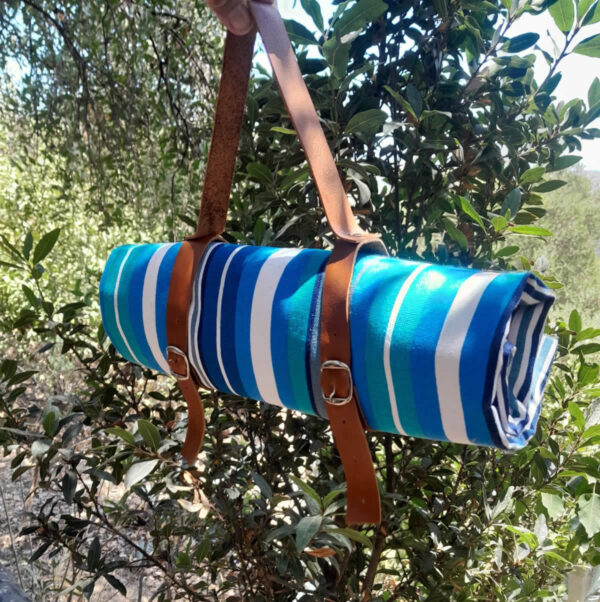 mantas picnic