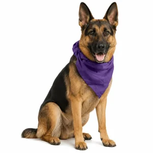 bandanas para perro grande por mayor