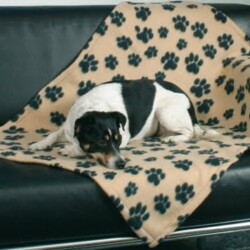 frazadas para perros, frazadas para perros auto